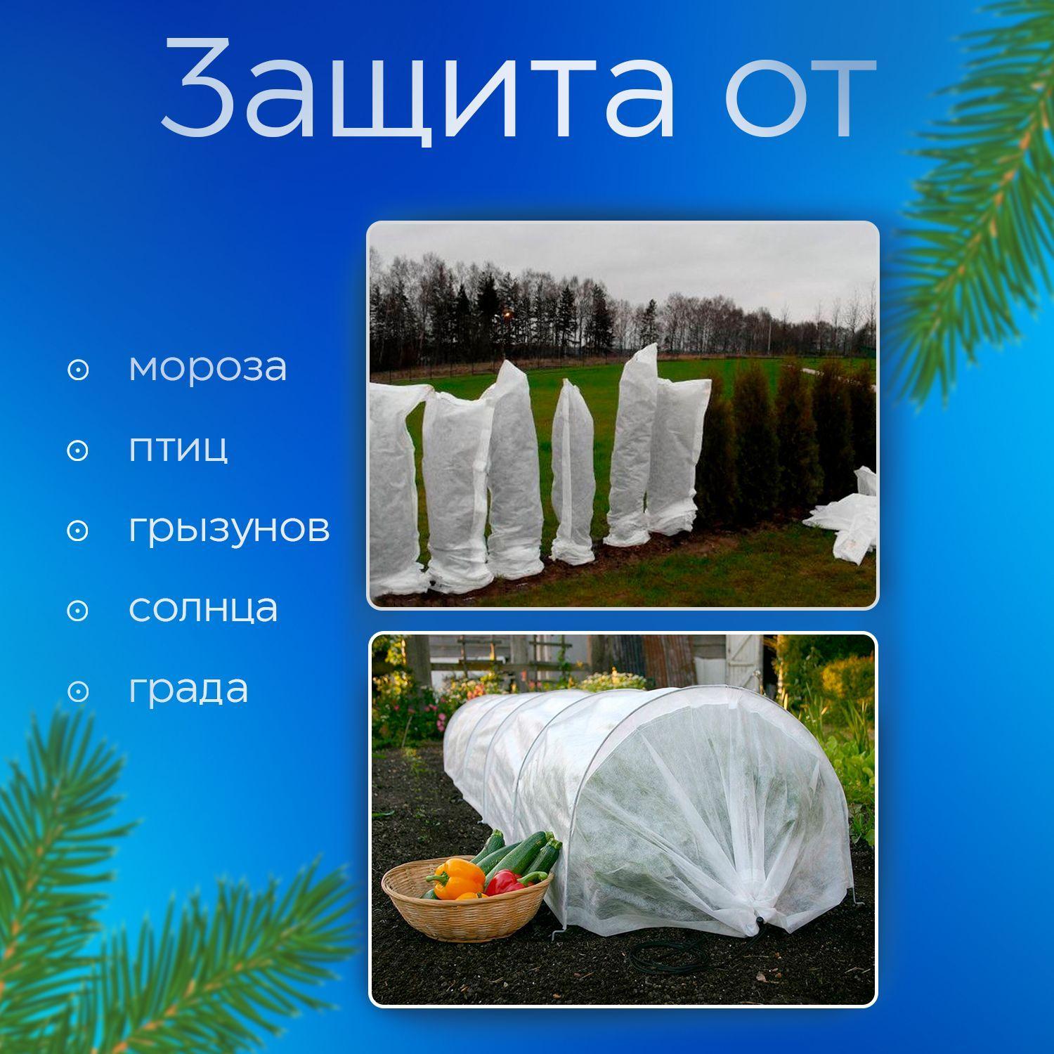 https://cdn1.ozone.ru/s3/multimedia-n/6797350931.jpg