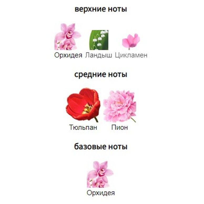 https://cdn1.ozone.ru/s3/multimedia-n/6836088695.jpg