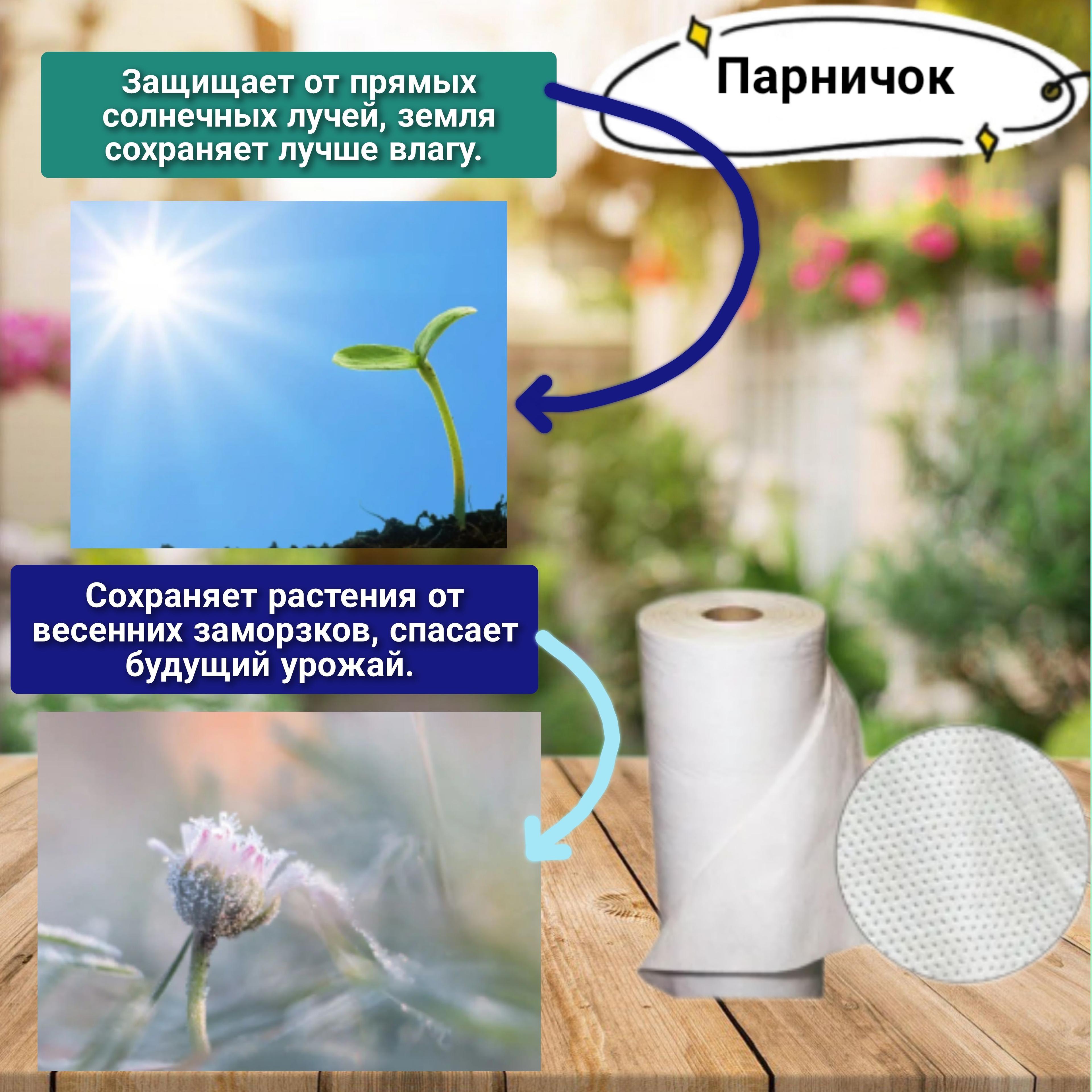 https://cdn1.ozone.ru/s3/multimedia-n/6856228139.jpg