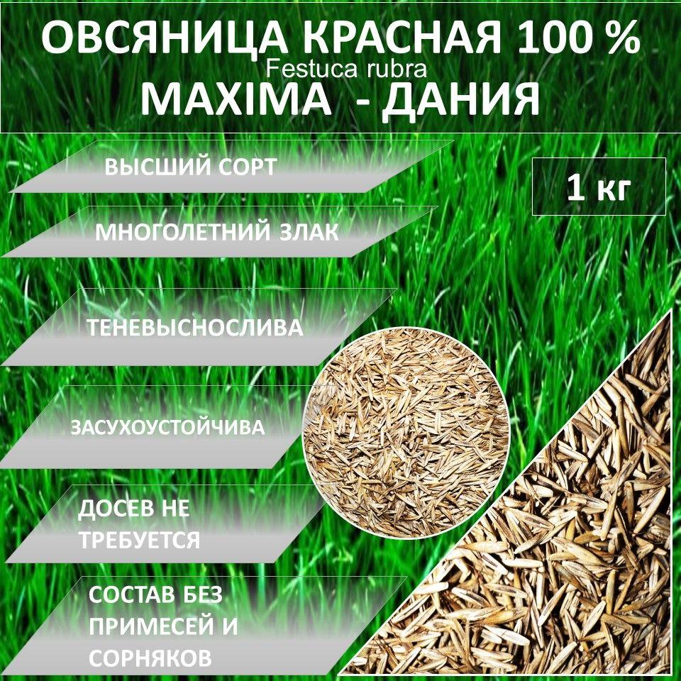 Газон 100 % Овсяница красная MAXIMA МАКСИМА 1. 1кг газонная трава семена