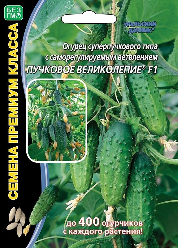 Огурец корнишон ПУЧКОВОЕ ВЕЛИКОЛЕПИЕ F1 (семена премиум класса), 5 шт семян. Плодоносит до глубокой осени! До 400 огурчиков с куста!