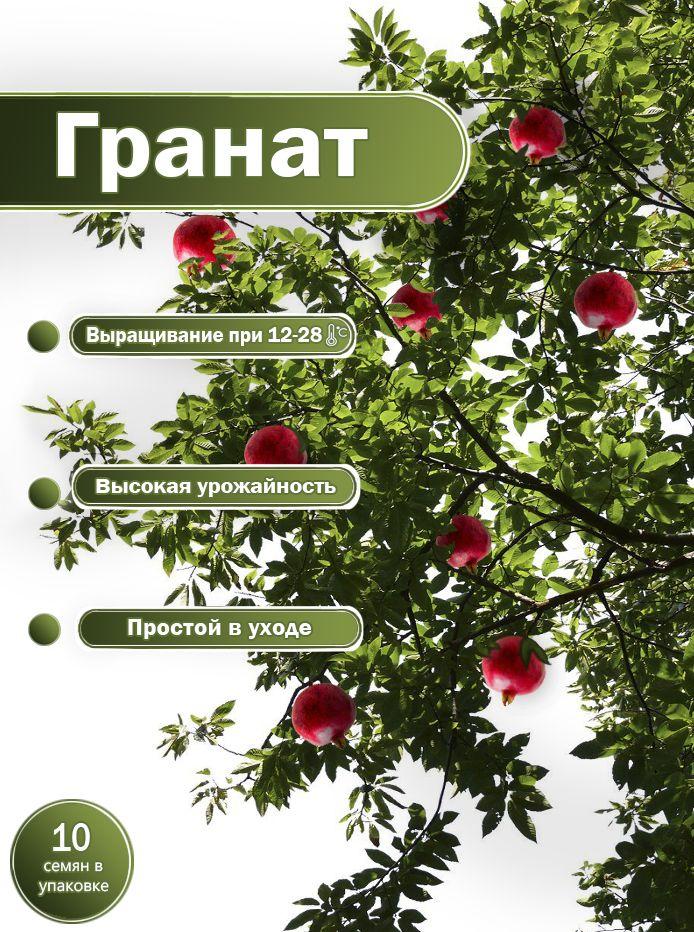 Семена комнатного граната карликового / 10 шт семян гранатового дерева