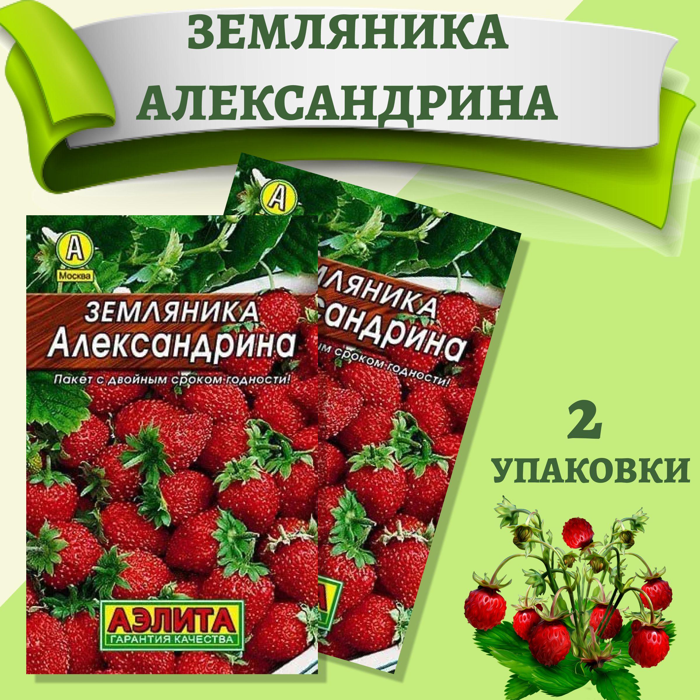 Земляника "Александрина" семена Аэлита для открытого грунта, теплицы, балкона и подоконника, 0,1 гр