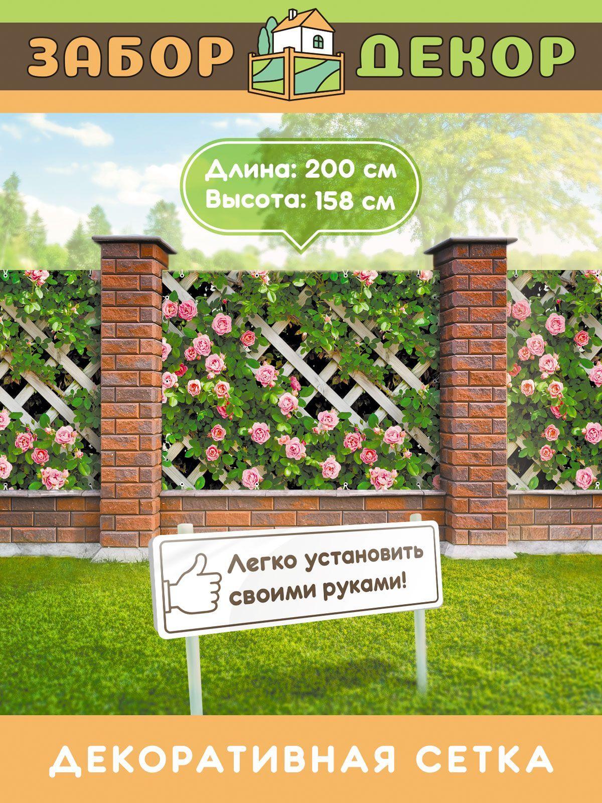 https://cdn1.ozone.ru/s3/multimedia-p/6581761297.jpg