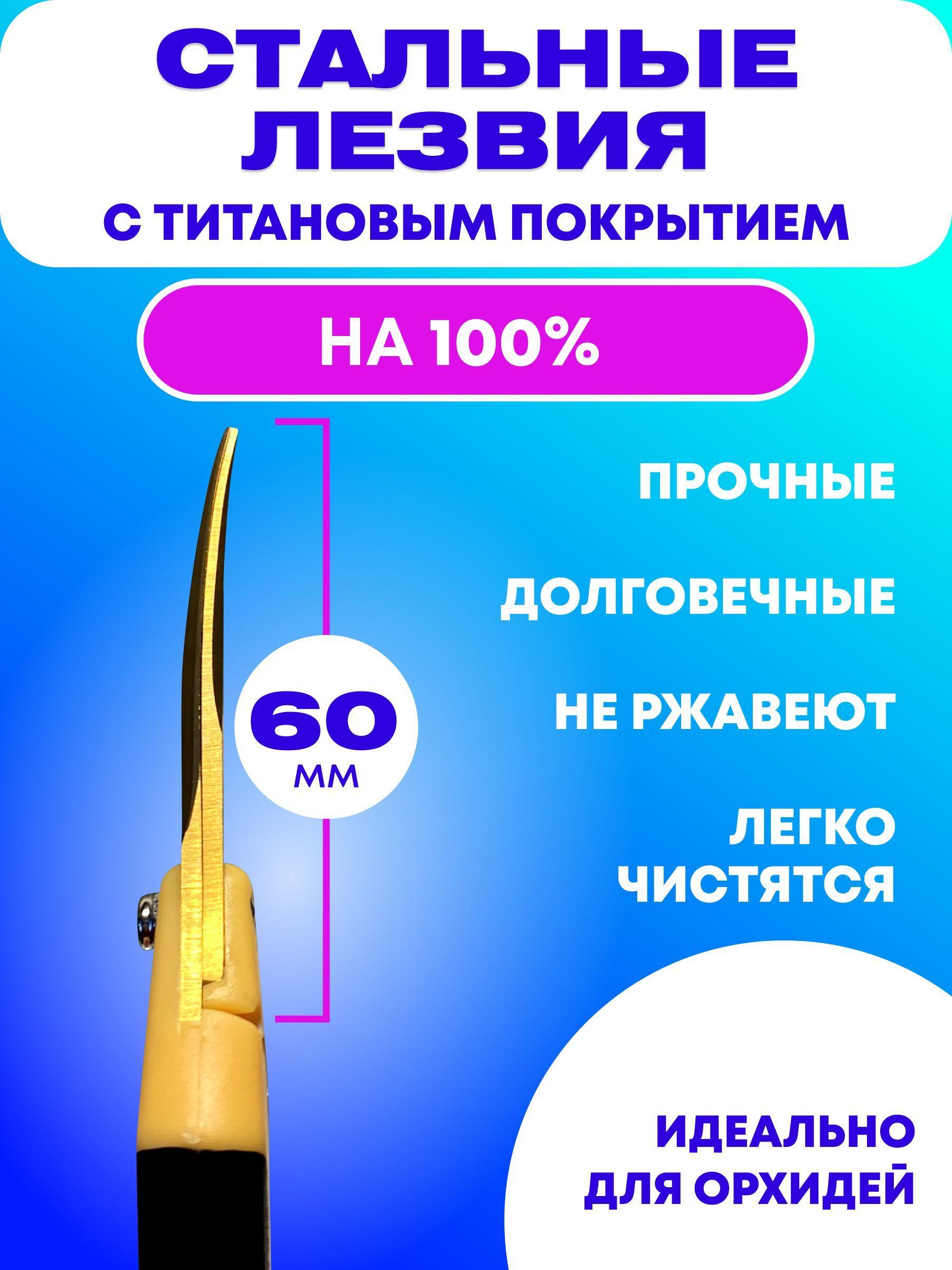 https://cdn1.ozone.ru/s3/multimedia-p/6674429041.jpg