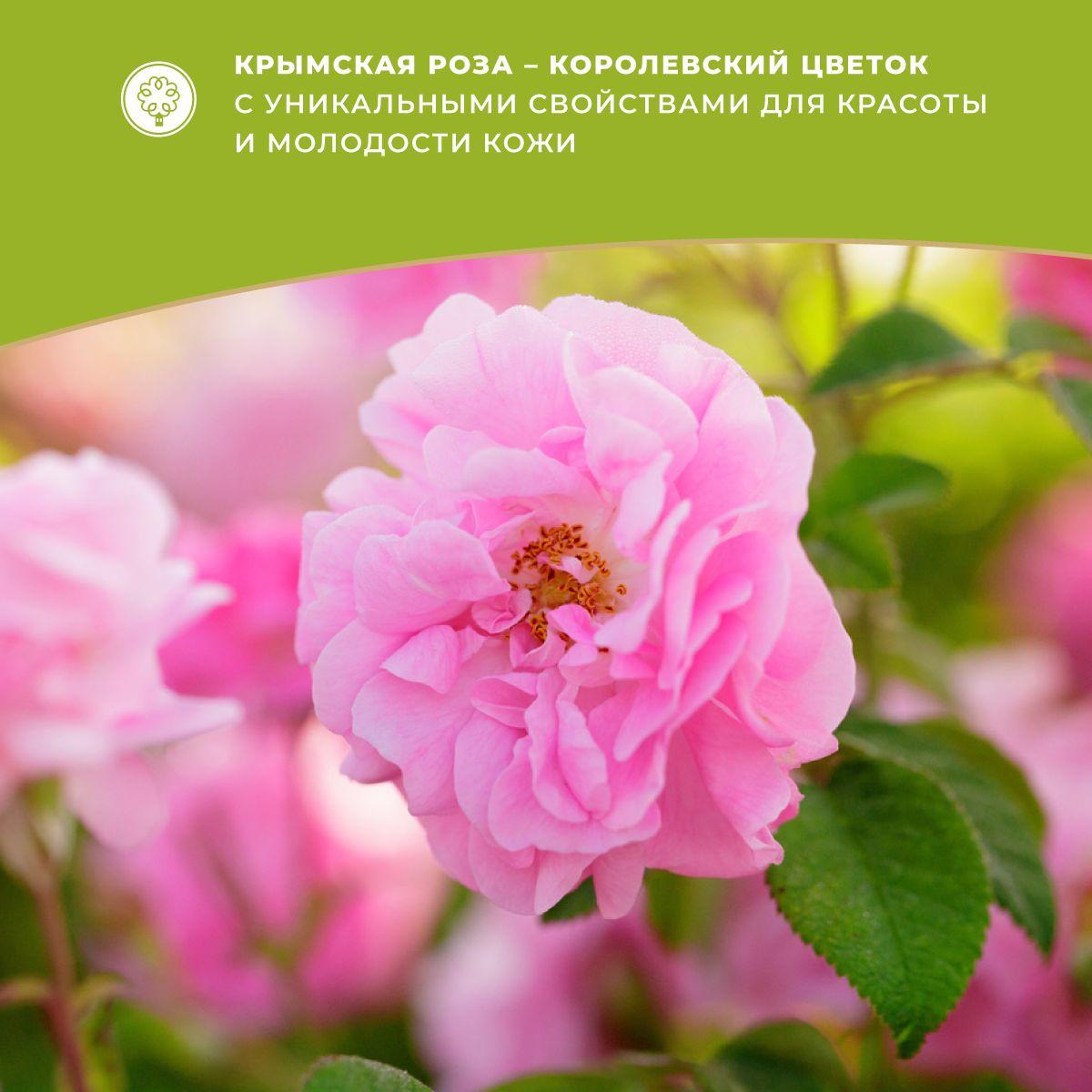 https://cdn1.ozone.ru/s3/multimedia-p/6894740761.jpg