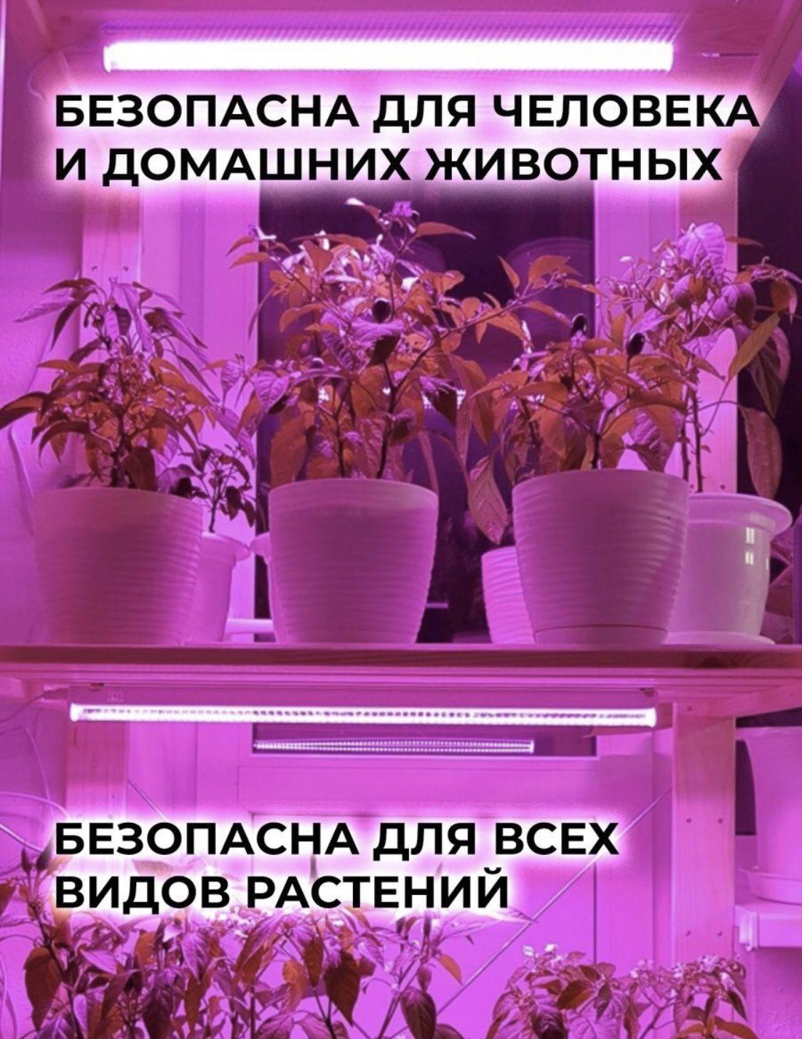 https://cdn1.ozone.ru/s3/multimedia-q/6544700114.jpg