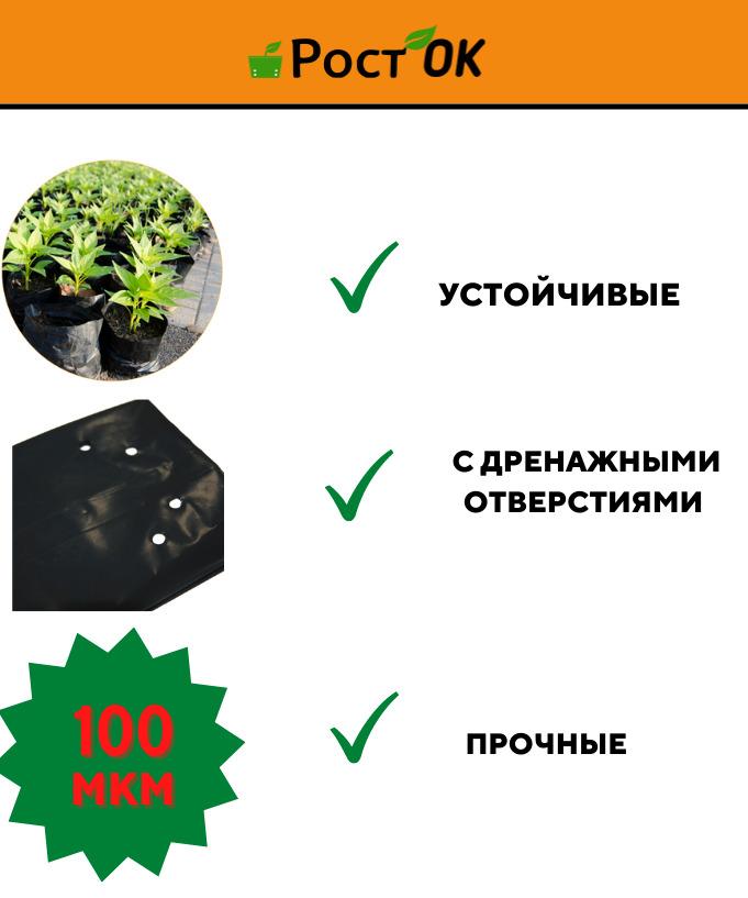 https://cdn1.ozone.ru/s3/multimedia-r/6284170095.jpg