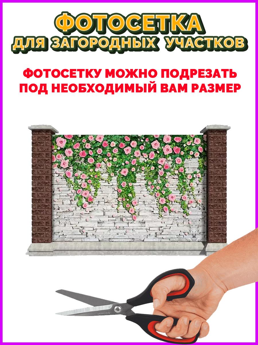 https://cdn1.ozone.ru/s3/multimedia-r/6327353211.jpg