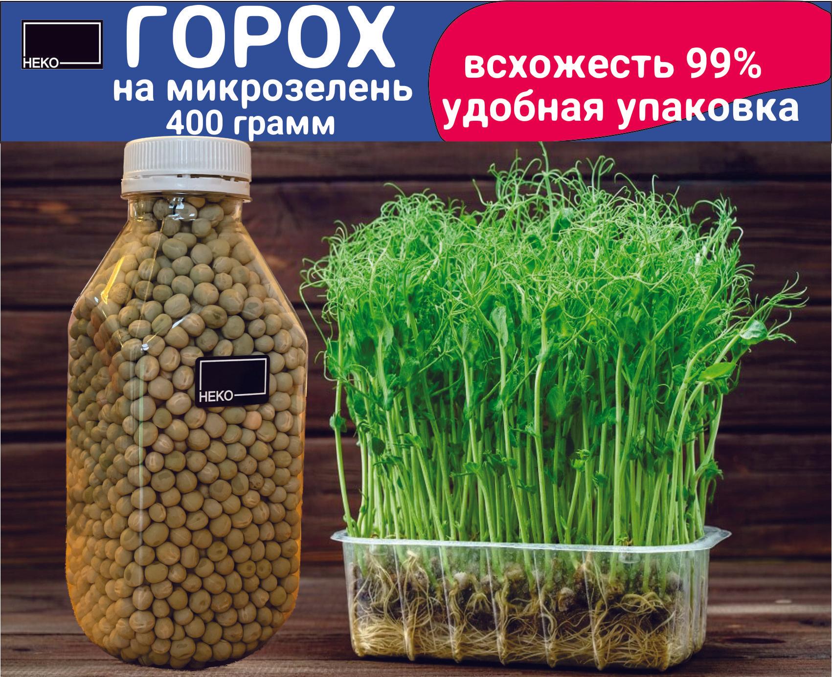 Горох Мадрас семена (400гр.) НЕКО микрозелень для выращивания