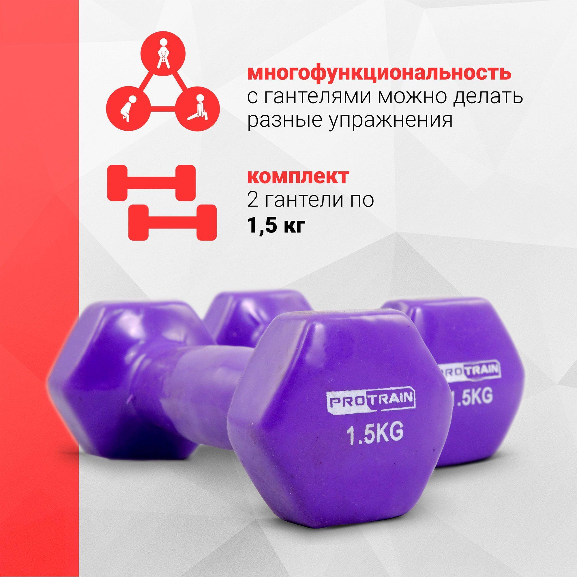 PROTRAIN Гантели, 2 шт. вес 1 шт: 1.5 кг