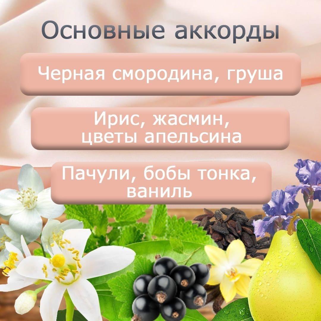 https://cdn1.ozone.ru/s3/multimedia-r/6611838219.jpg