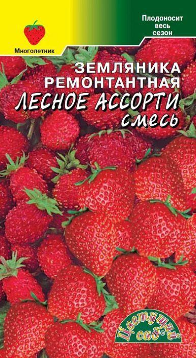 https://cdn1.ozone.ru/s3/multimedia-r/6621789267.jpg