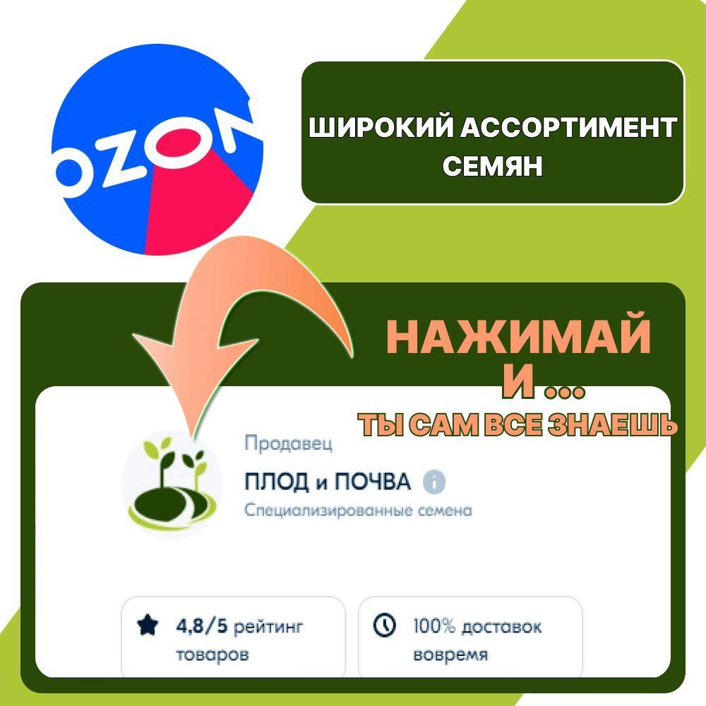 https://cdn1.ozone.ru/s3/multimedia-r/6670759923.jpg
