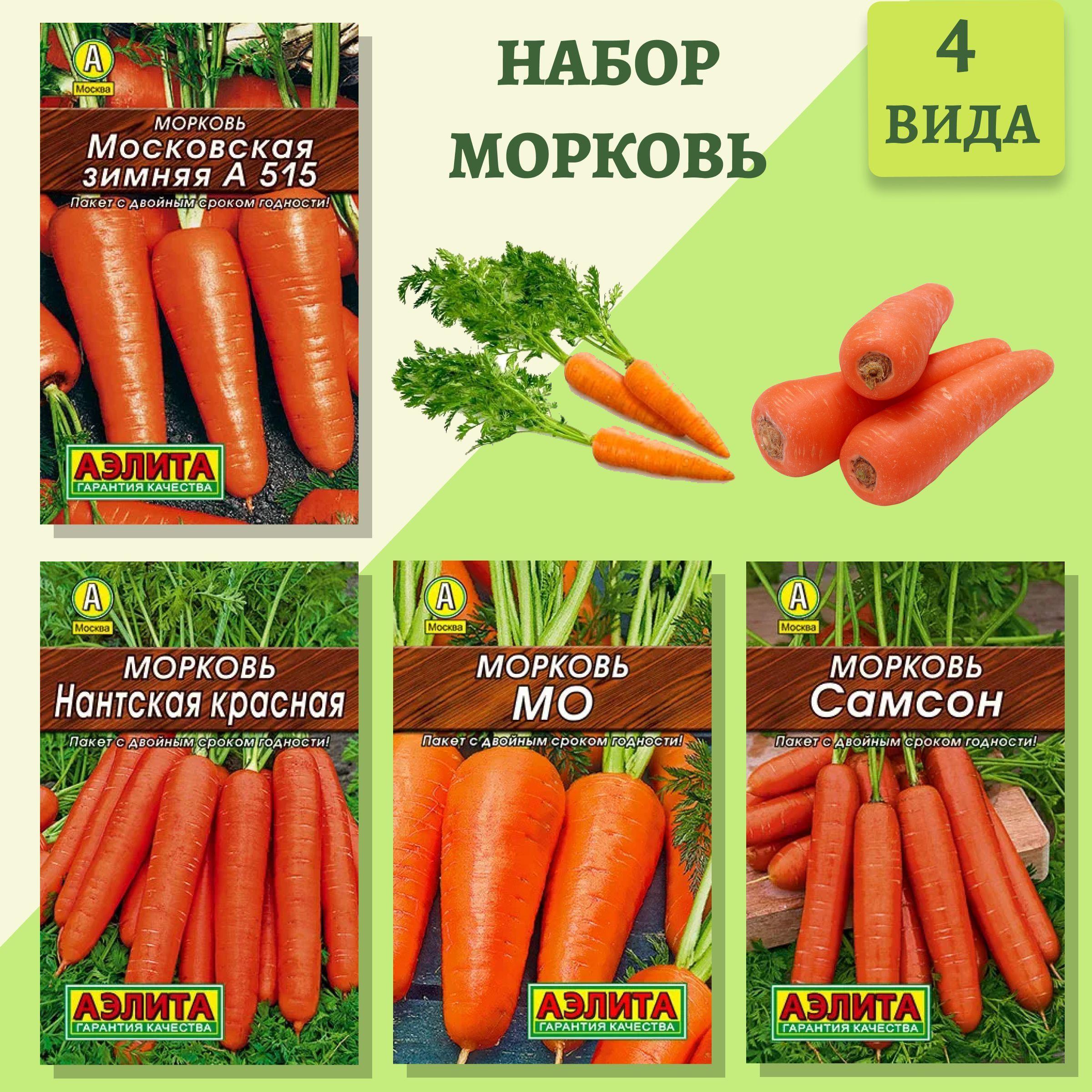 Морковь / семена / 4 популярных сорта, 5 г., Аэлита