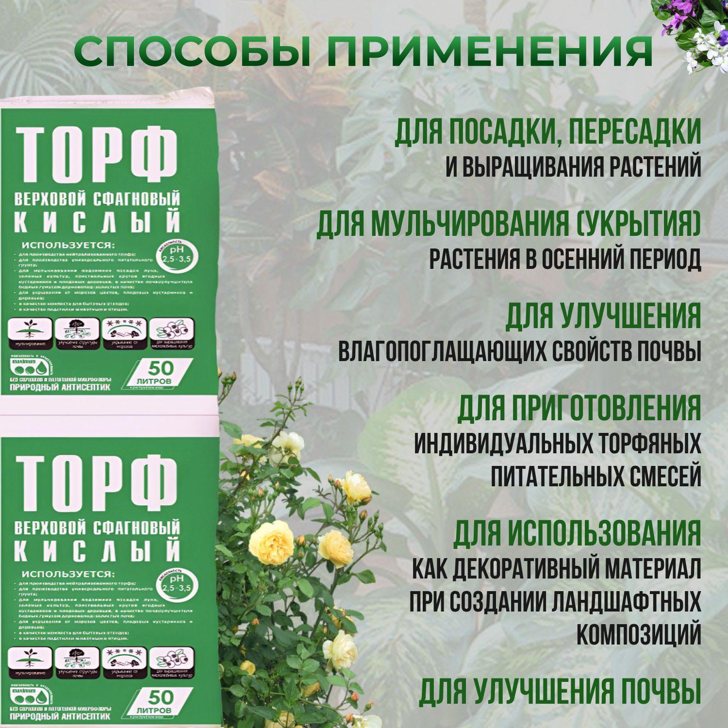 https://cdn1.ozone.ru/s3/multimedia-r/6825362355.jpg