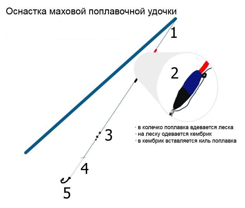 https://cdn1.ozone.ru/s3/multimedia-s/6573669856.jpg