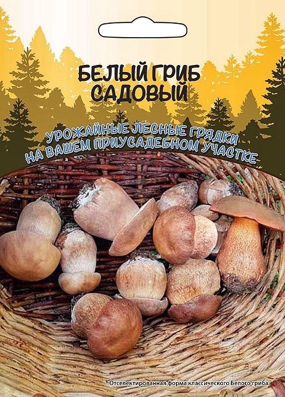 Уральский дачник | Белый Гриб Садовый, зерновой мицелий 30 мл, Уральский Дачник, 1 упаковка