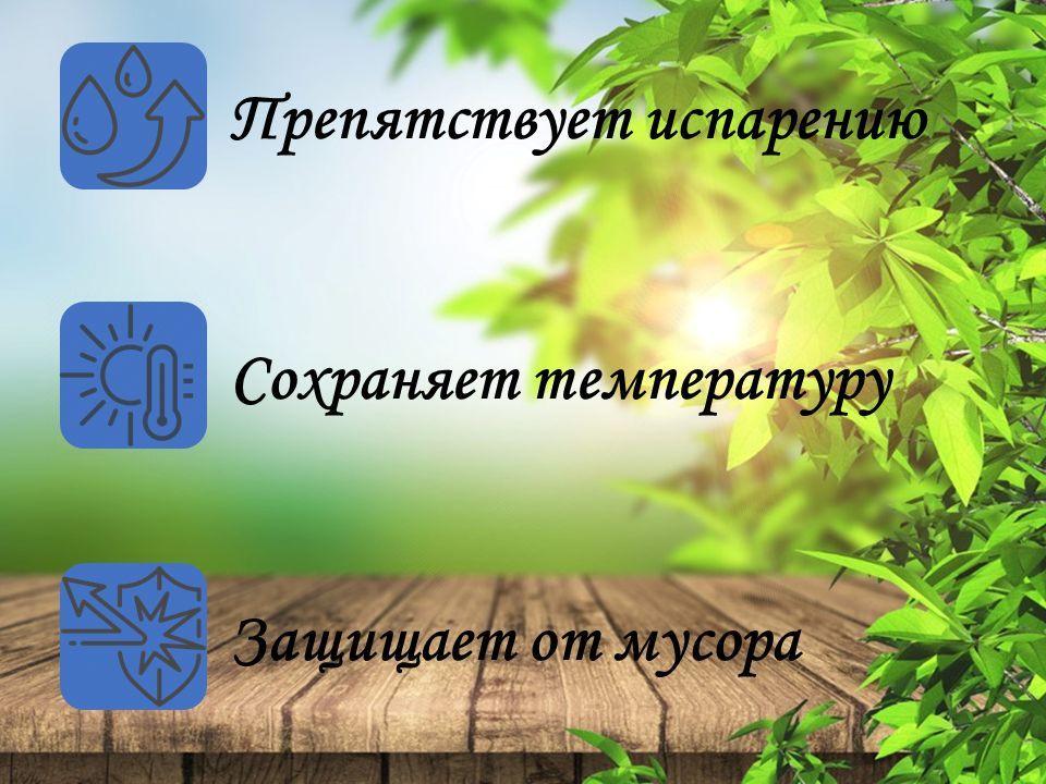 https://cdn1.ozone.ru/s3/multimedia-s/6708141784.jpg