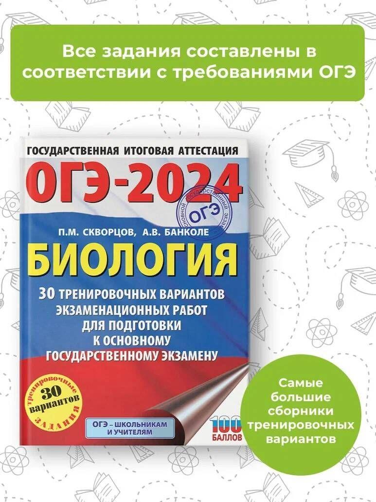 https://cdn1.ozone.ru/s3/multimedia-s/6717976084.jpg