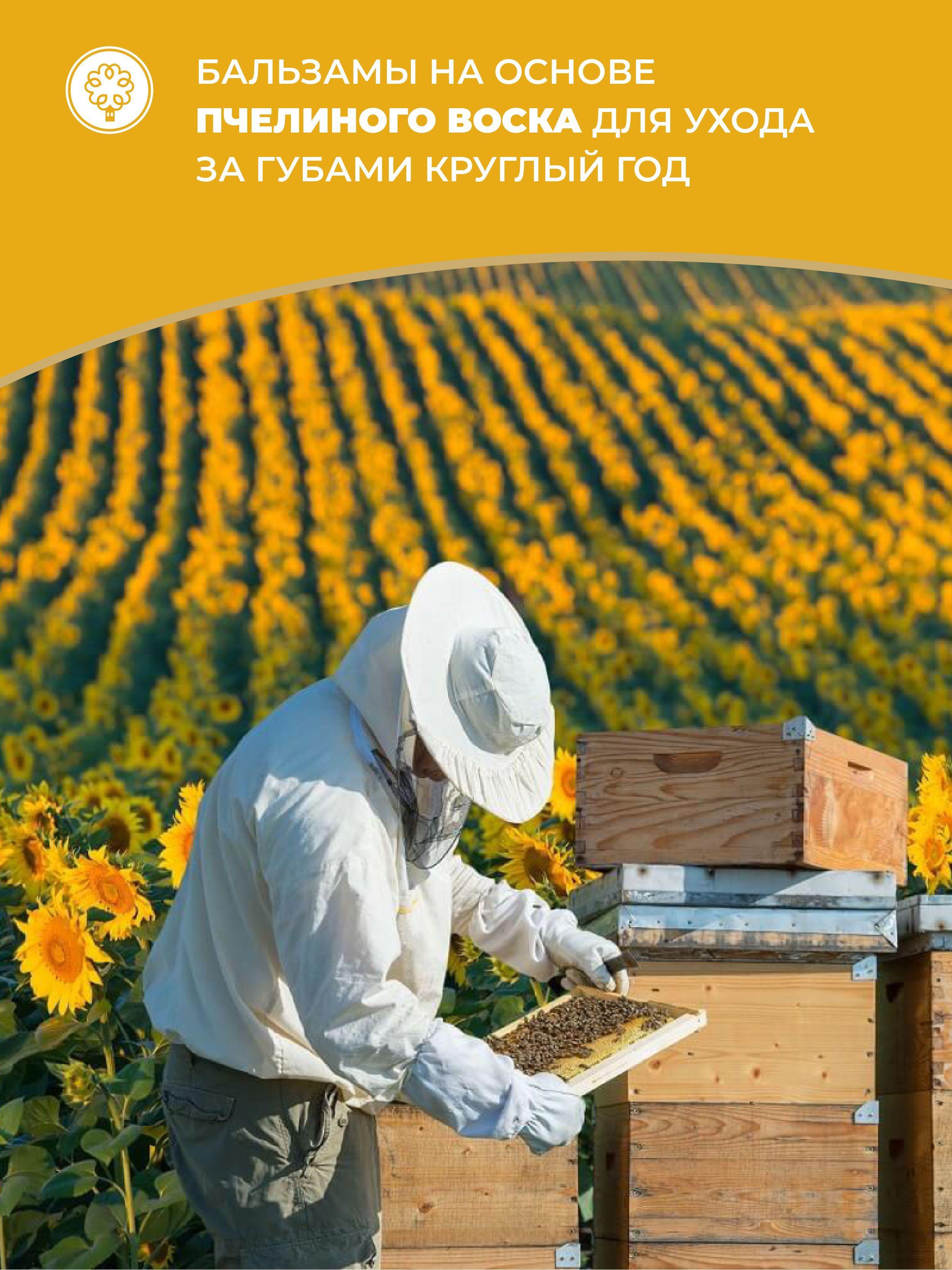 https://cdn1.ozone.ru/s3/multimedia-s/6734391364.jpg