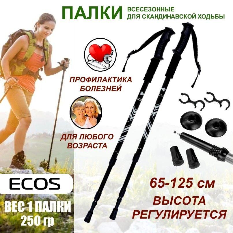 Палки для скандинавской ходьбы всесезонные ECOS Nordic Walking sticks алюминиевые, телескопические с ремешком, 3 секции, черные (светло-голубые полосы)