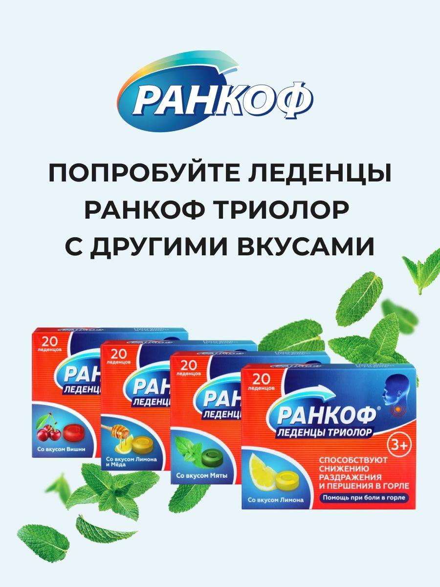 https://cdn1.ozone.ru/s3/multimedia-t/6392954069.jpg