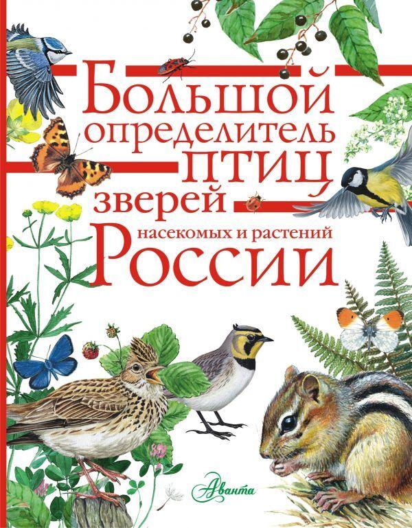 Большой определитель птиц, зверей, насекомых и растений России | Волцит Петр Михайлович, Пескова Ирина Михайловна