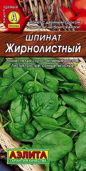 ШПИНАТ ЖИРНОЛИСТНЫЙ. Семена. Вес 3 гр. раннеспелый сорт для открытого грунта.