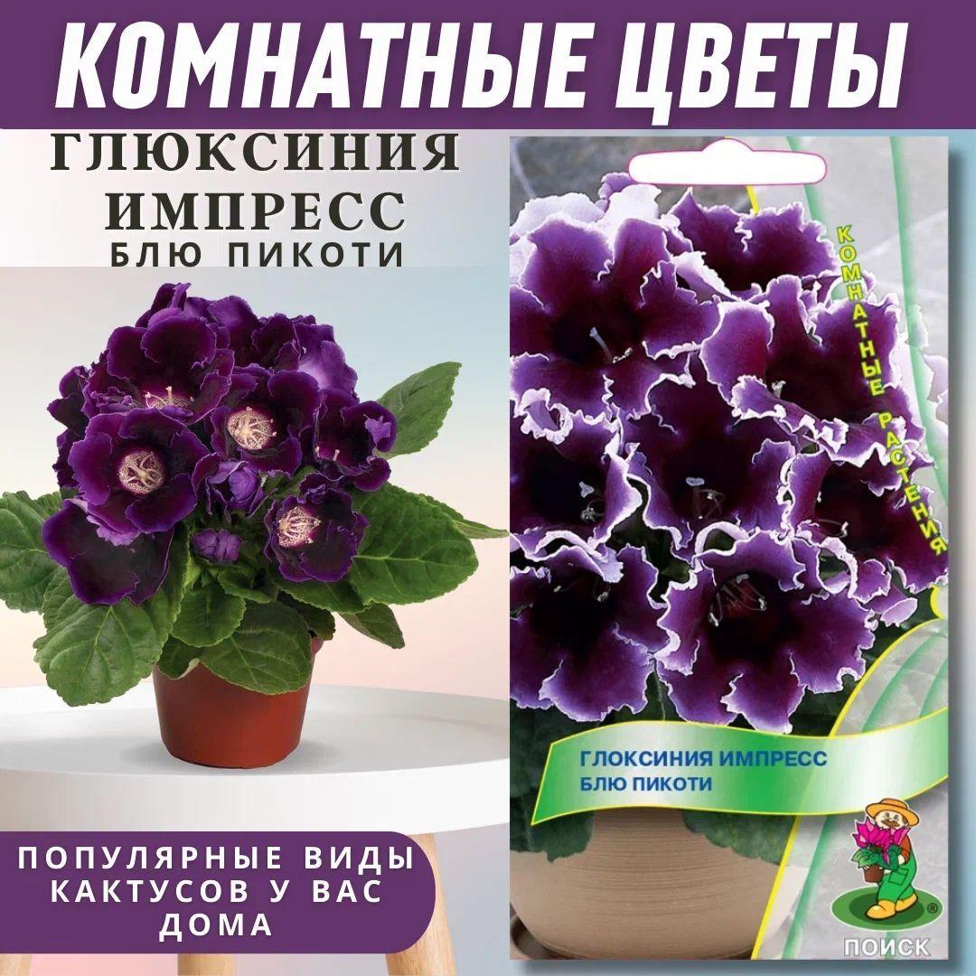 Глоксиния Импресс "Блю пикоти", семена комнатных растения для домашнего выращивания