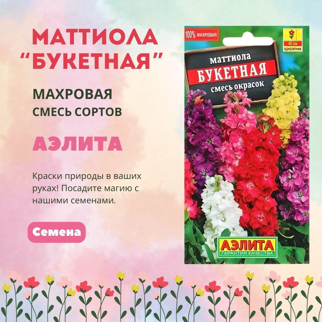 Маттиола Букетная, смесь сортов, семена Аэлита