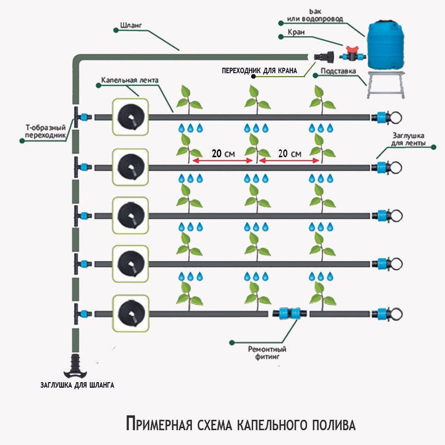 https://cdn1.ozone.ru/s3/multimedia-u/6831119334.jpg