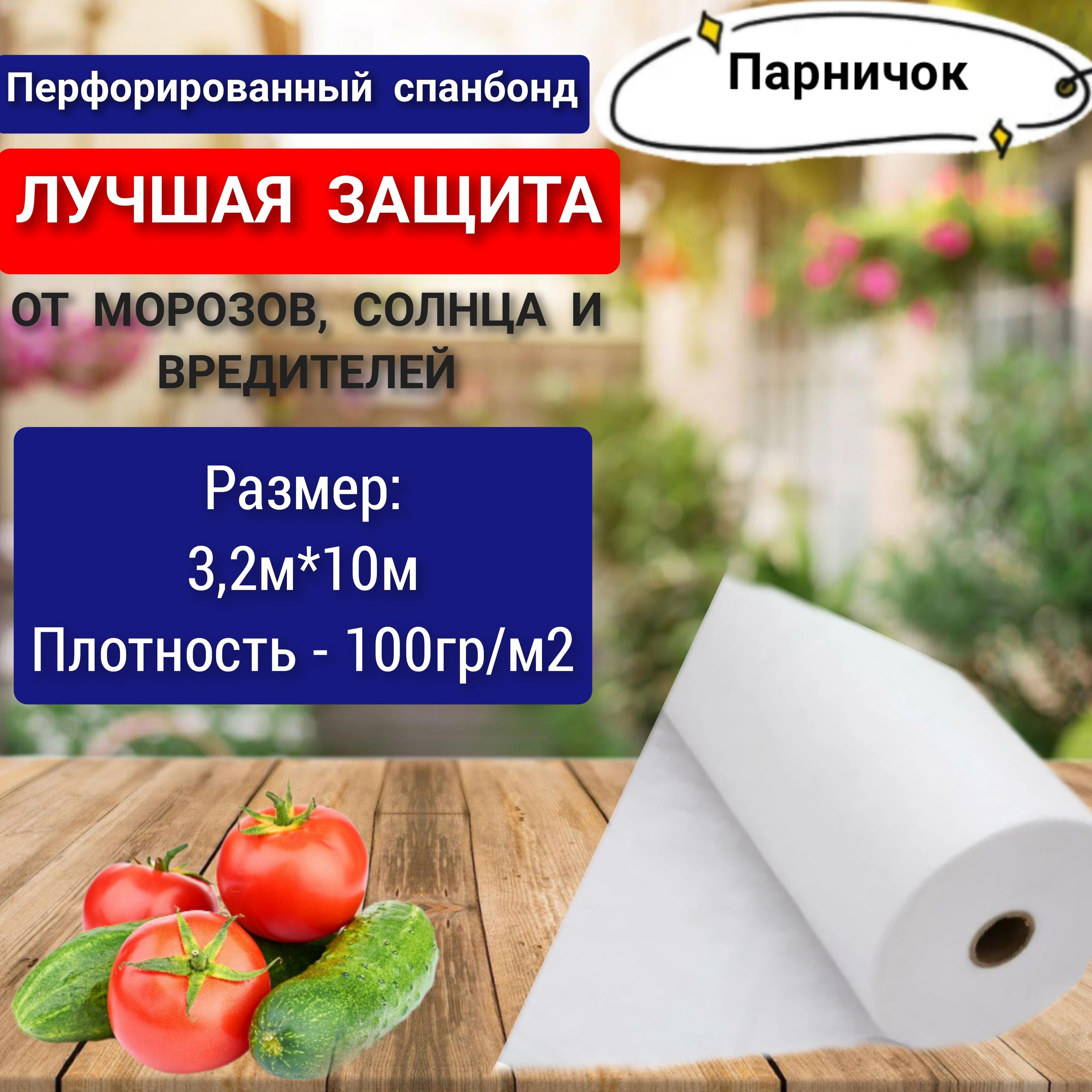 Парничок Укрывной материал Спанбонд, 3.2x10 м,  100 г-кв.м, 1 шт