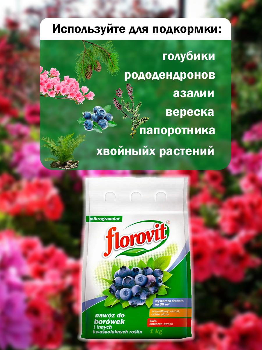 https://cdn1.ozone.ru/s3/multimedia-v/6379894639.jpg