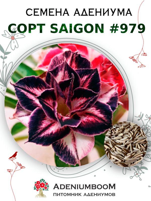 AdeniumBOOM | Семена Адениума Обесум от Saigon Adenium #979 (4шт.) / семена цветов комнатных суккулентов, набор семян домашних растений цветущих