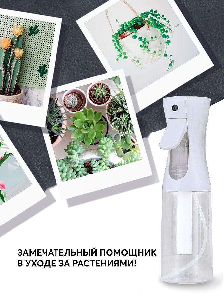 https://cdn1.ozone.ru/s3/multimedia-v/6583943983.jpg