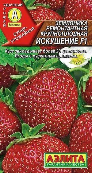 Земляника крупноплодная ремонтантная "Искушение F1" семена Аэлита для балкона, подоконника, открытого грунта и теплицы, 10 шт