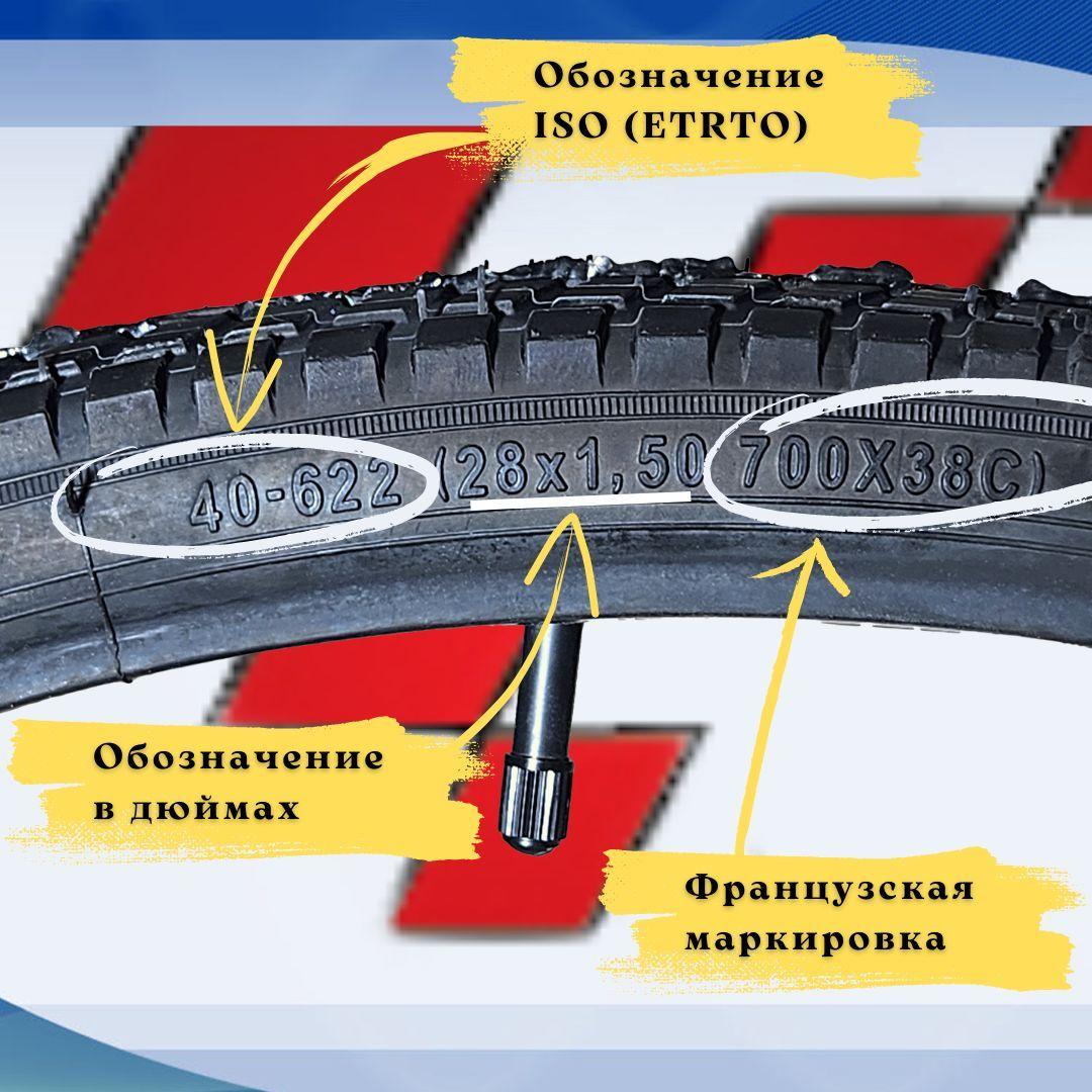 https://cdn1.ozone.ru/s3/multimedia-v/6704783671.jpg