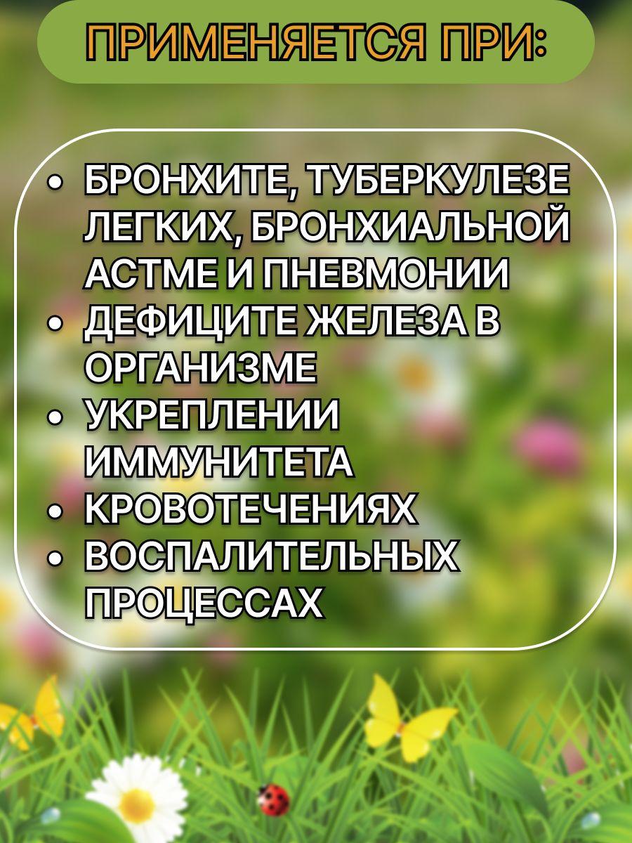 https://cdn1.ozone.ru/s3/multimedia-v/6836392867.jpg