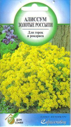 Алиссум многолетний Золотые Россыпи, 70 семян