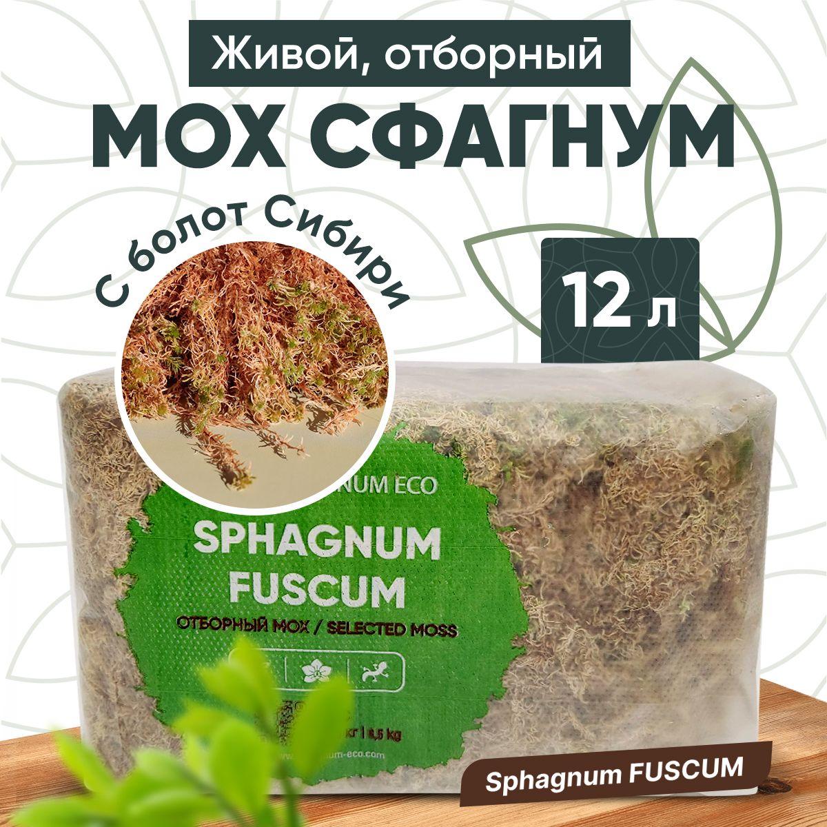 Грунт для цветов мох сфагнум, Sphagnum ECO, живой, отборный, насыпной объем 12 л.