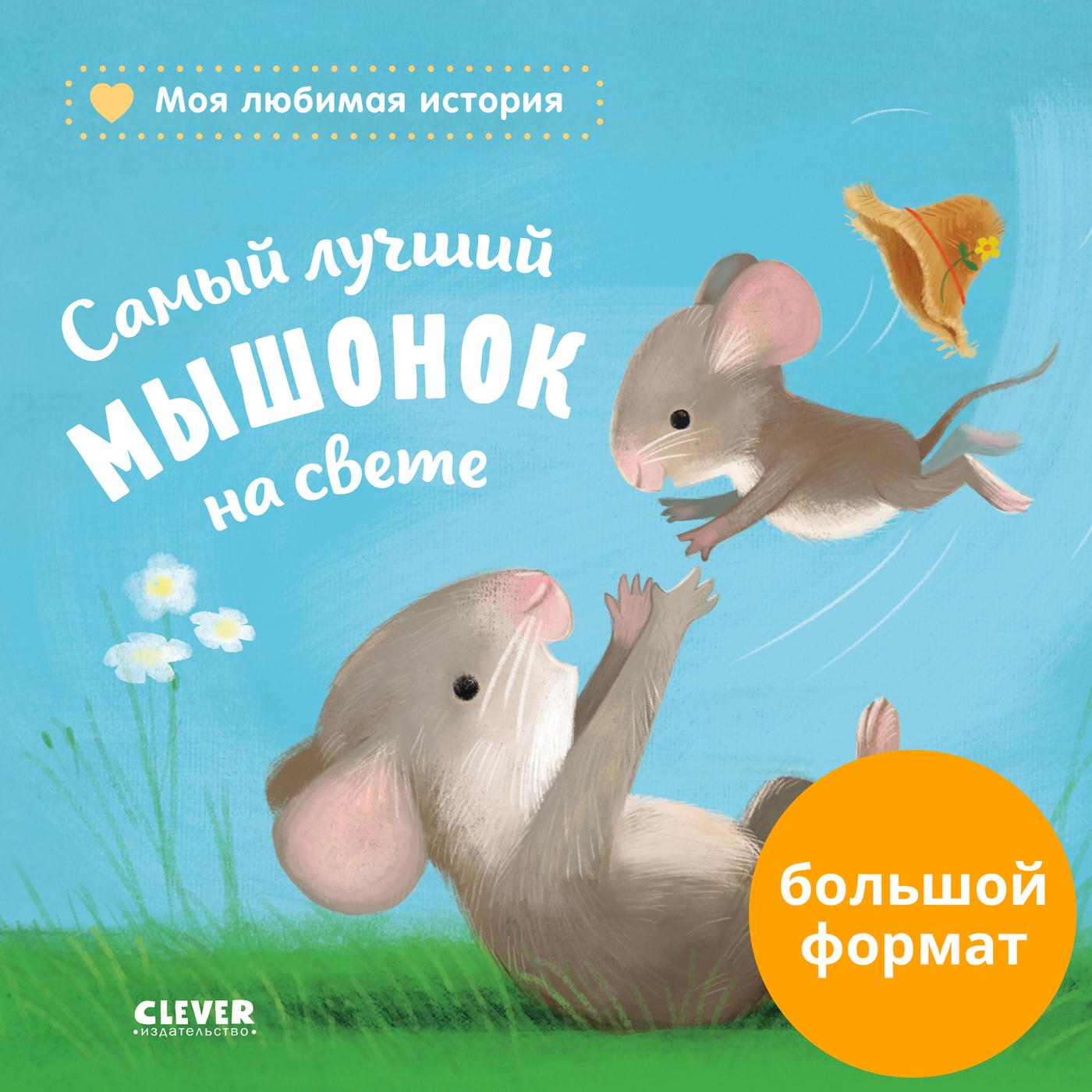 Книжки-картонки. Самый лучший мышонок на свете | Райдер Катя