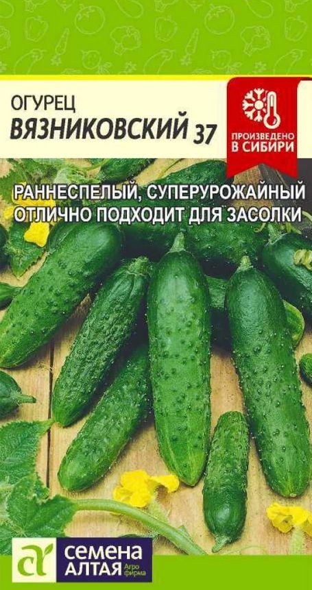 Семена Алтая | Суперурожайный засолочный огурец ВЯЗНИКОВСКИЙ 37 (Семена Алтая), 0,5 г