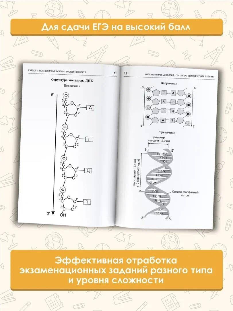 https://cdn1.ozone.ru/s3/multimedia-x/6730543653.jpg