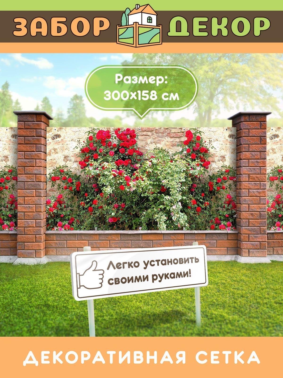 https://cdn1.ozone.ru/s3/multimedia-y/6581731930.jpg