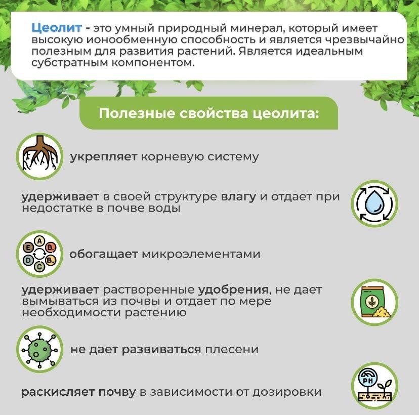 https://cdn1.ozone.ru/s3/multimedia-y/6817626358.jpg