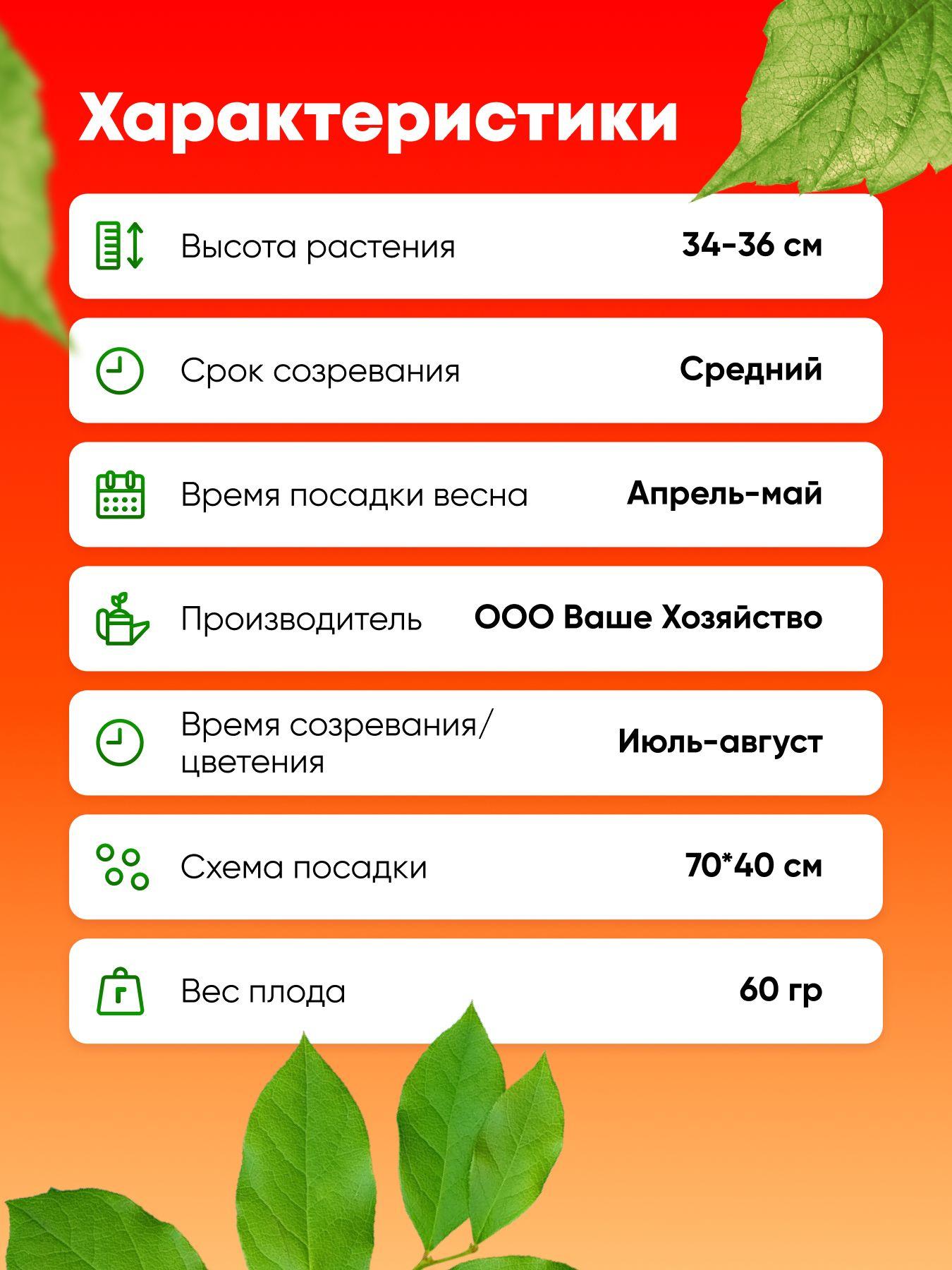 https://cdn1.ozone.ru/s3/multimedia-y/6903415690.jpg