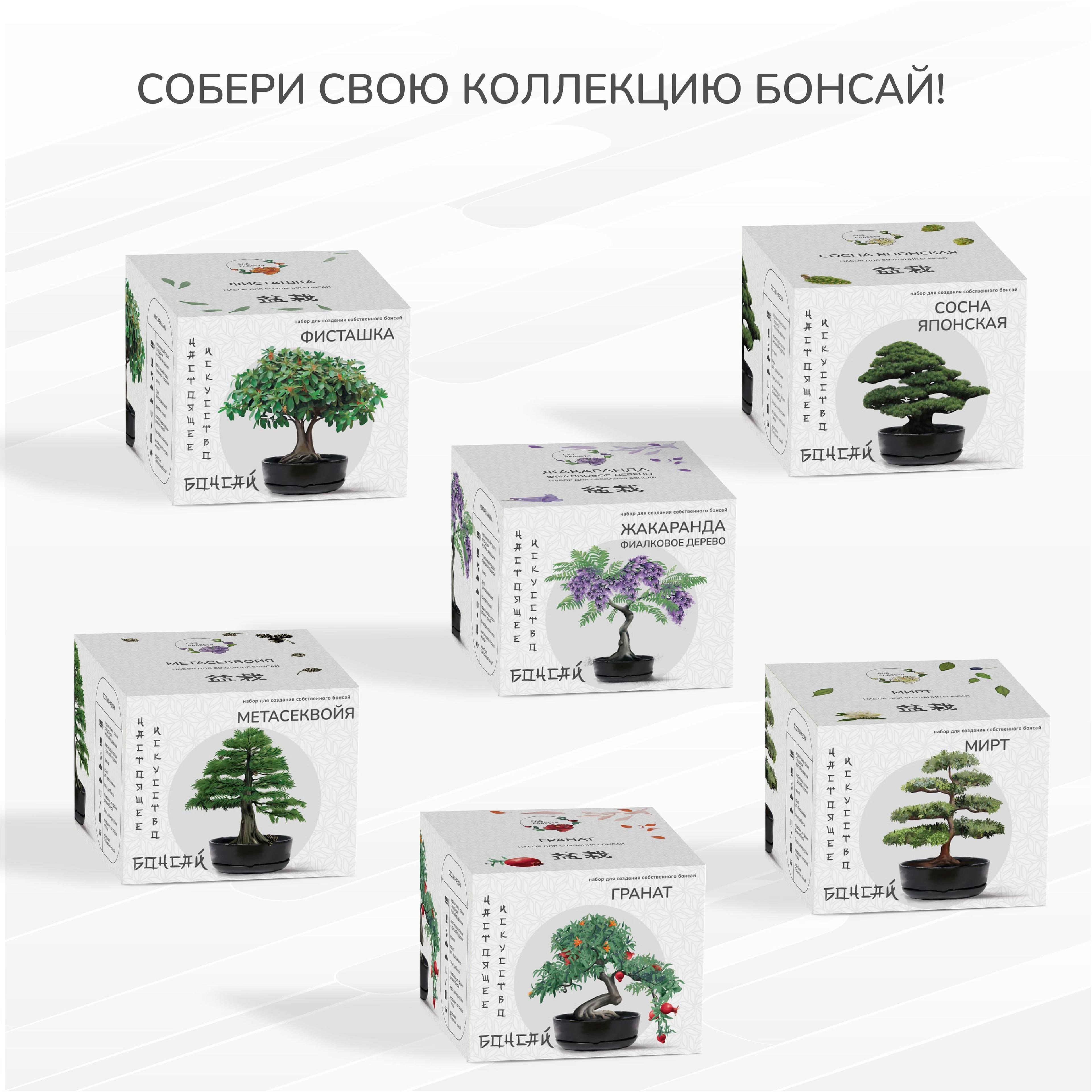 https://cdn1.ozone.ru/s3/multimedia-z/6455808059.jpg