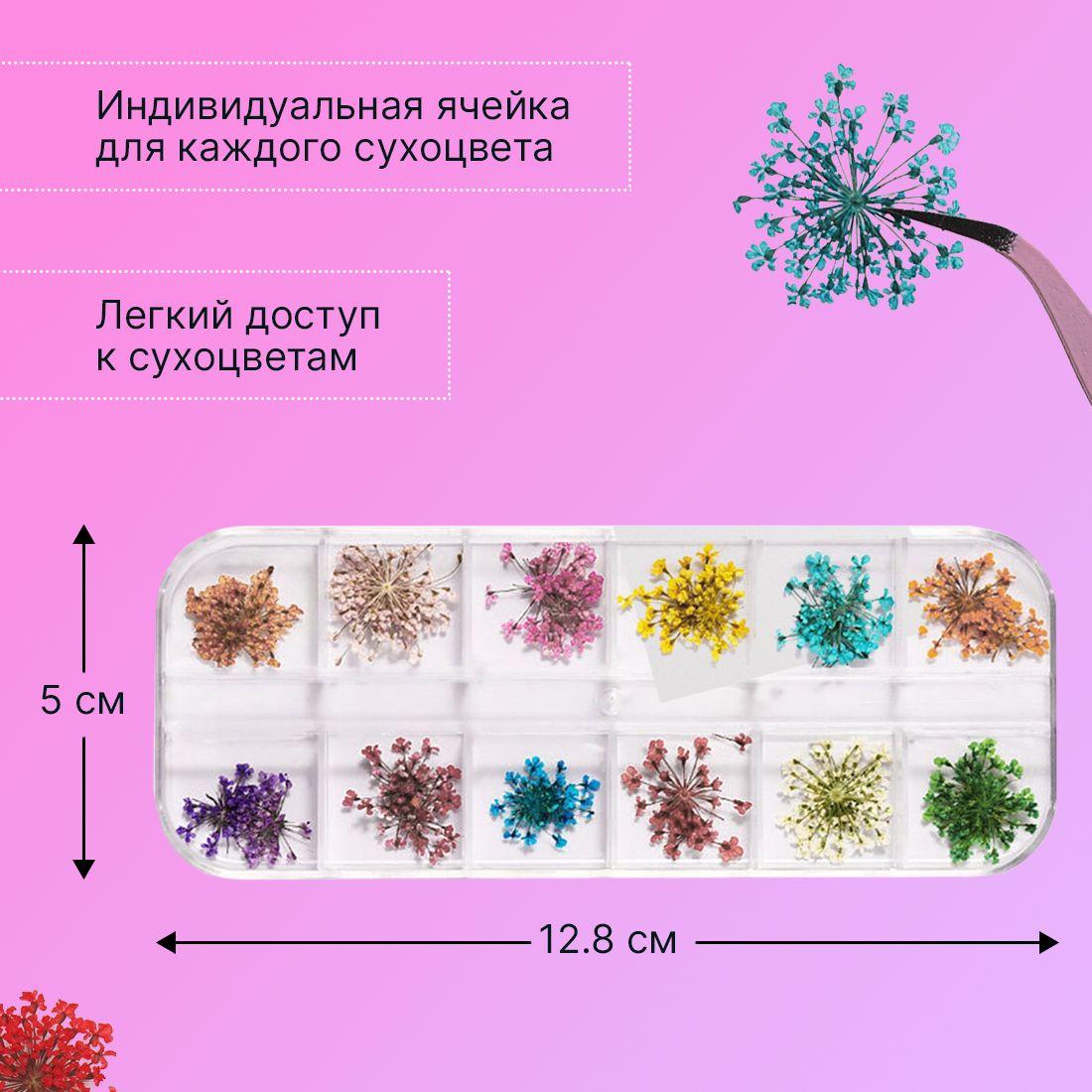 https://cdn1.ozone.ru/s3/multimedia-z/6552245723.jpg