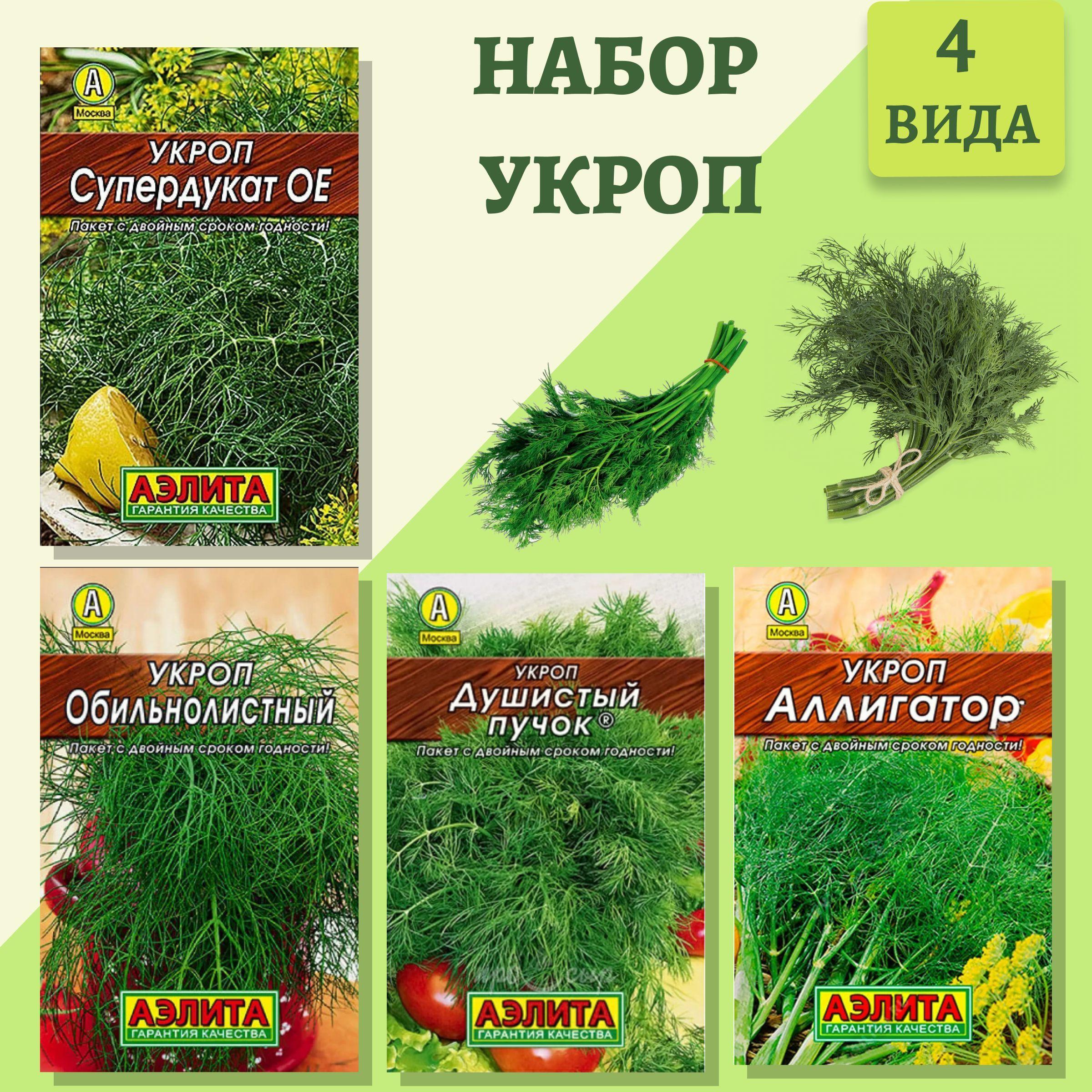 УКРОП набор семян 4 популярных сорта по 2 г для выращивания в открытом грунте и теплицах Агрофирма Аэлита